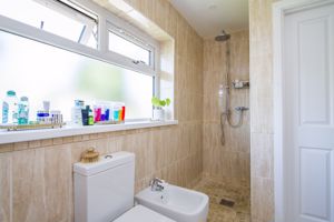 Photo 50- click for photo gallery